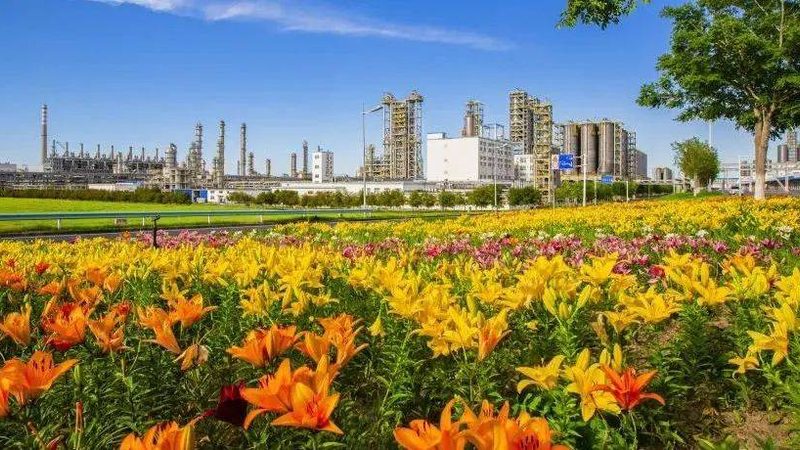 皮革纺织表面活性剂配方报价背后的秘密